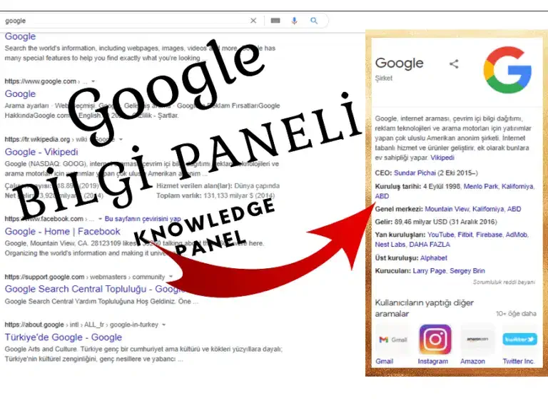 Google Bilgi Paneli