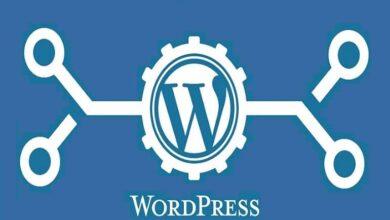 WordPress Veritabanı Nasıl Güncellenir